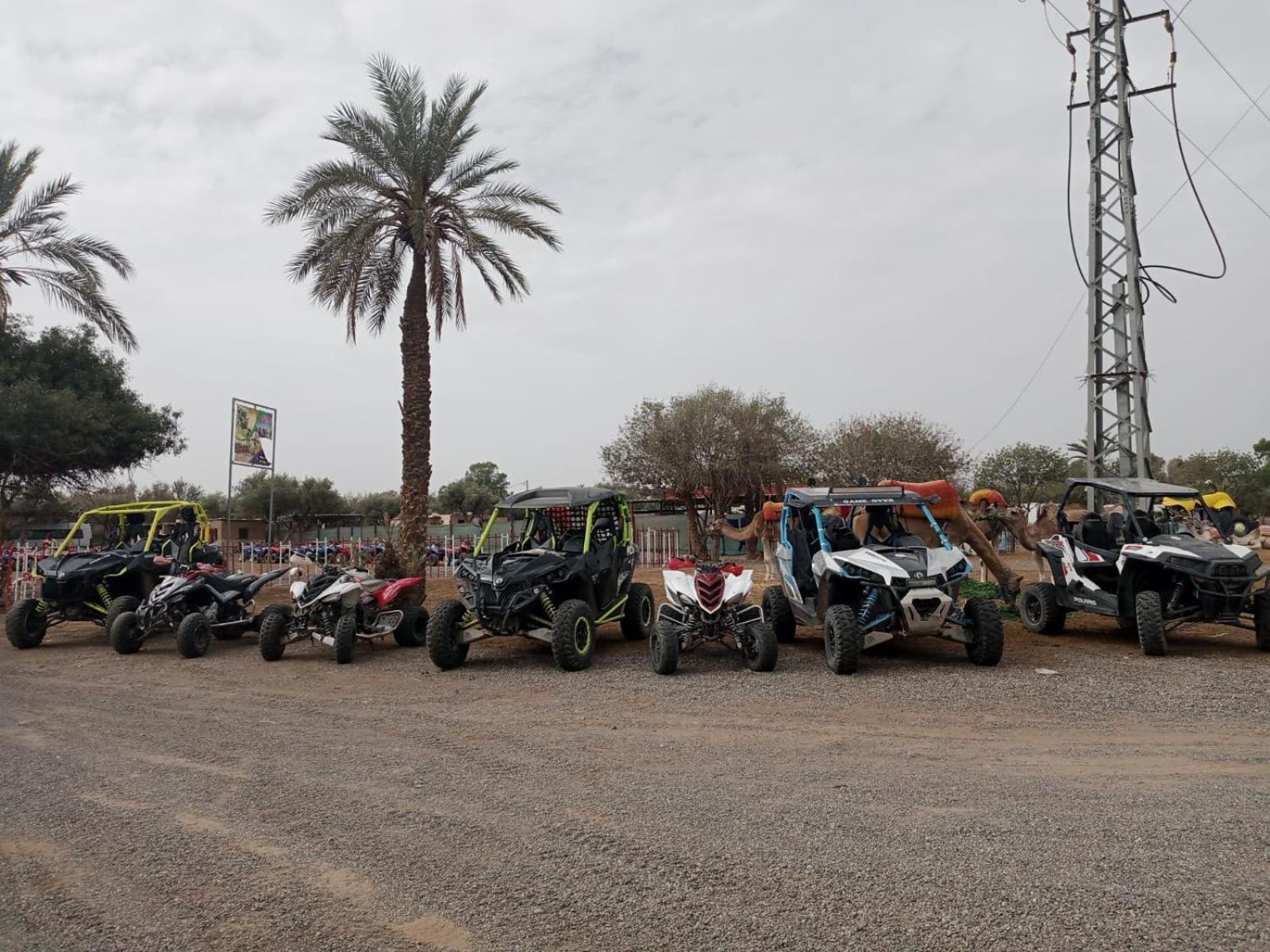 Quad Marrakech Hotel Marrakesh Ngoại thất bức ảnh